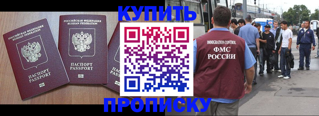 прописка 2025 в Порхове